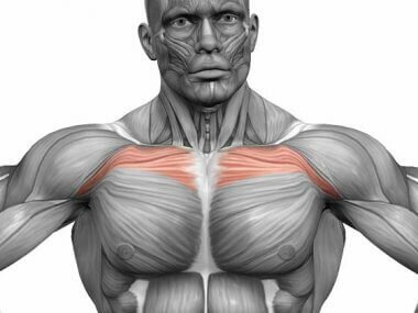 Простые упражнения для прокачки верхней части грудных мышц