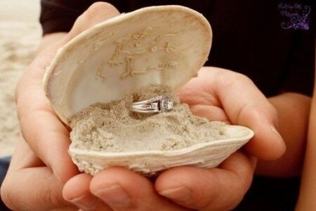 Оригинальное предложение замуж "кольцо в ракушке"