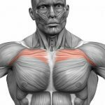 Простые упражнения для прокачки верхней части грудных мышц